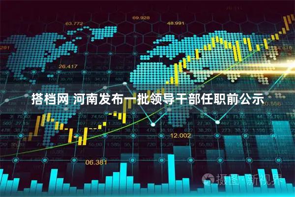 搭档网 河南发布一批领导干部任职前公示